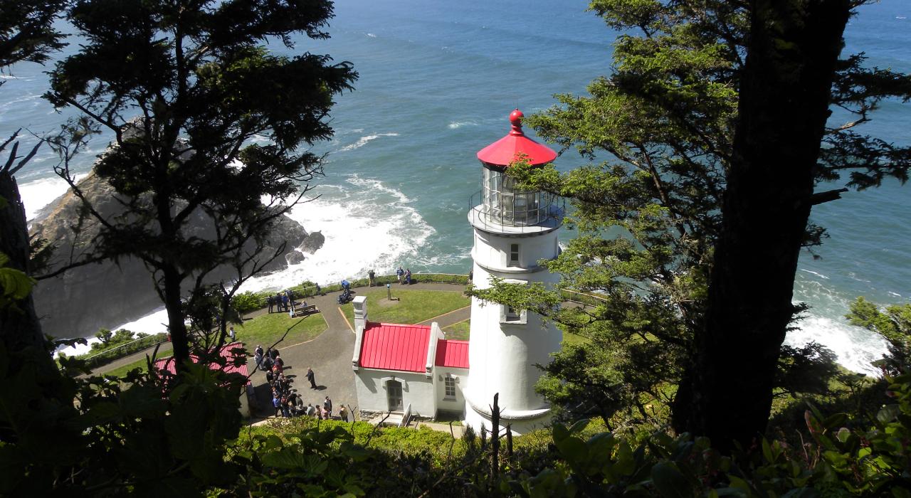 在树顶俯瞰赫西塔角灯塔和太平洋美景