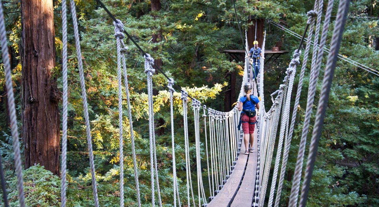 Crossing a narrow rope bridge during a canopy tour in a redwood forest