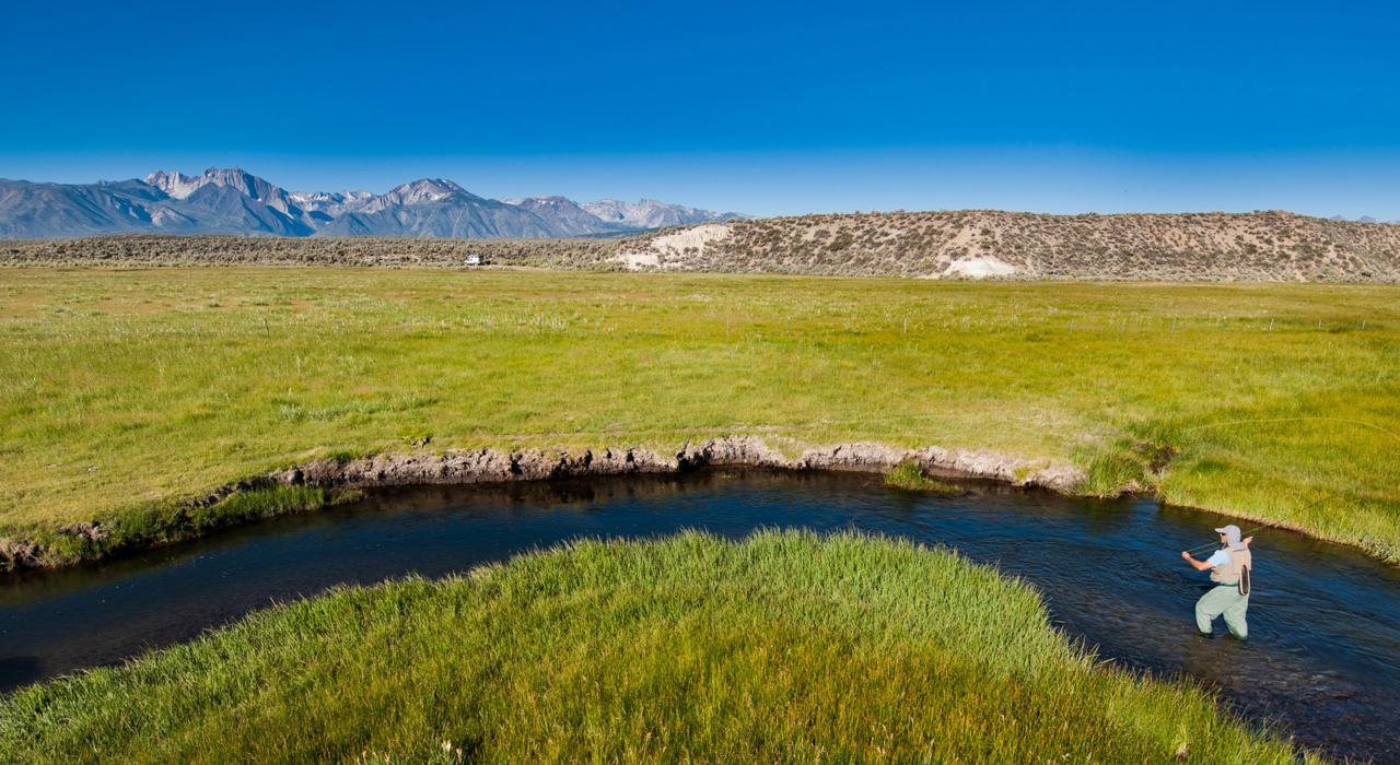 在上欧文斯河体验飞蝇钓鱼