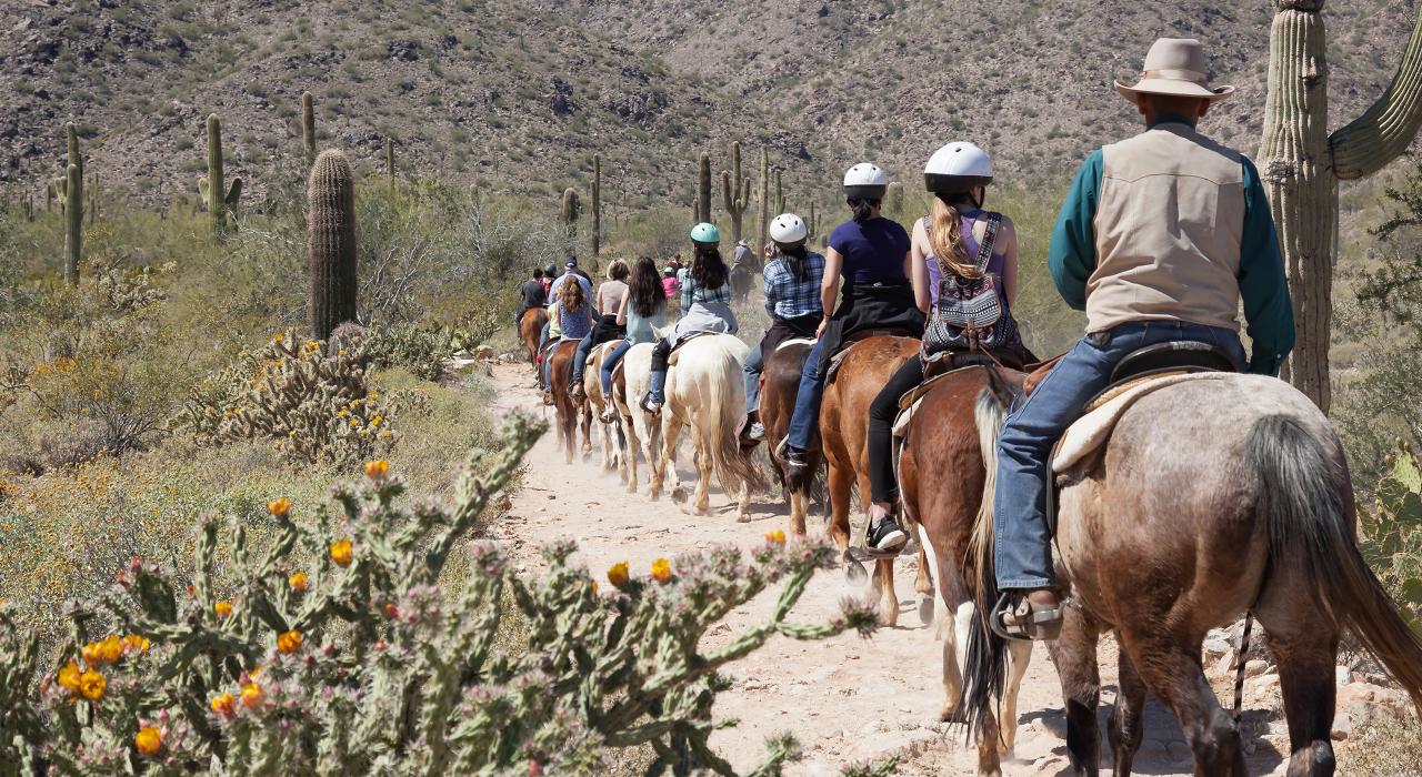 骑马穿越索诺兰沙漠