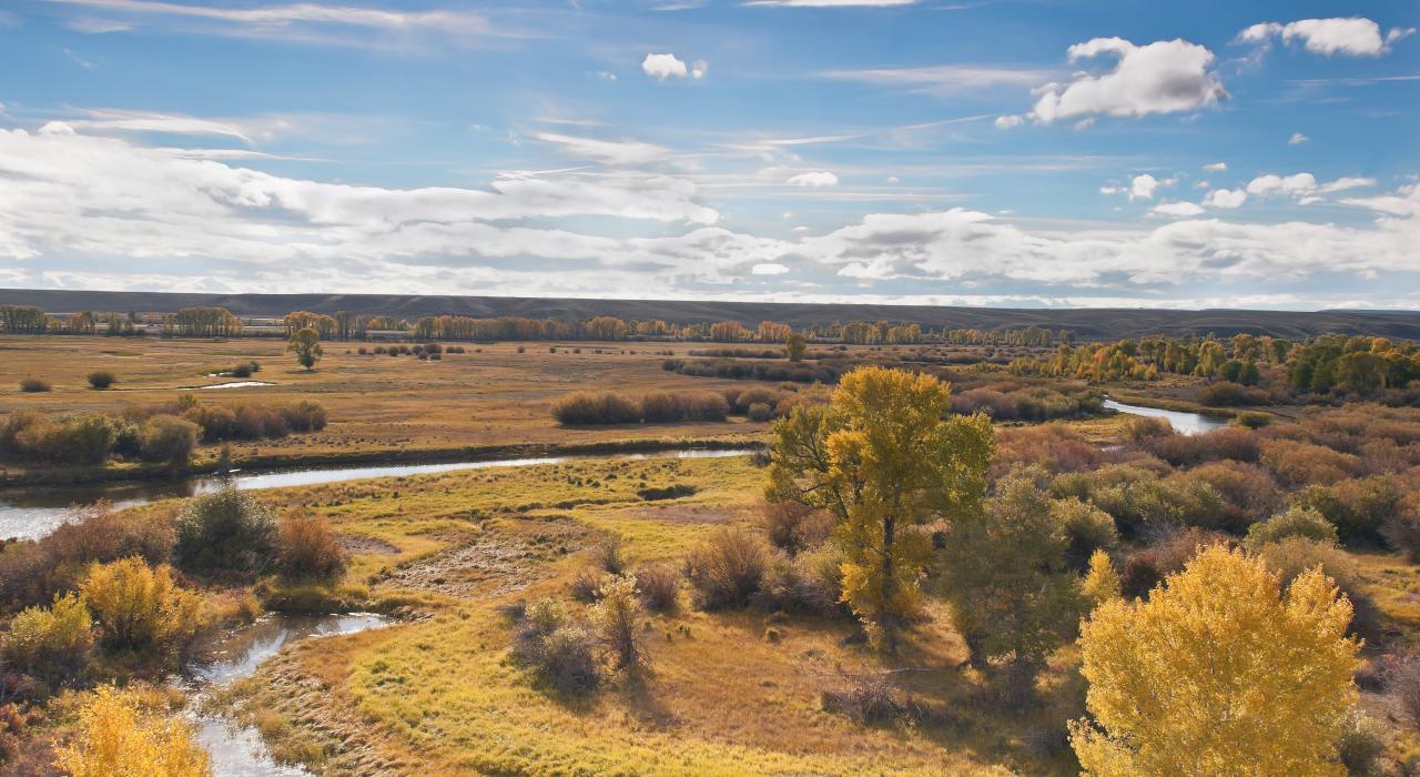 Fall foliage colors decorating the New Fork River 