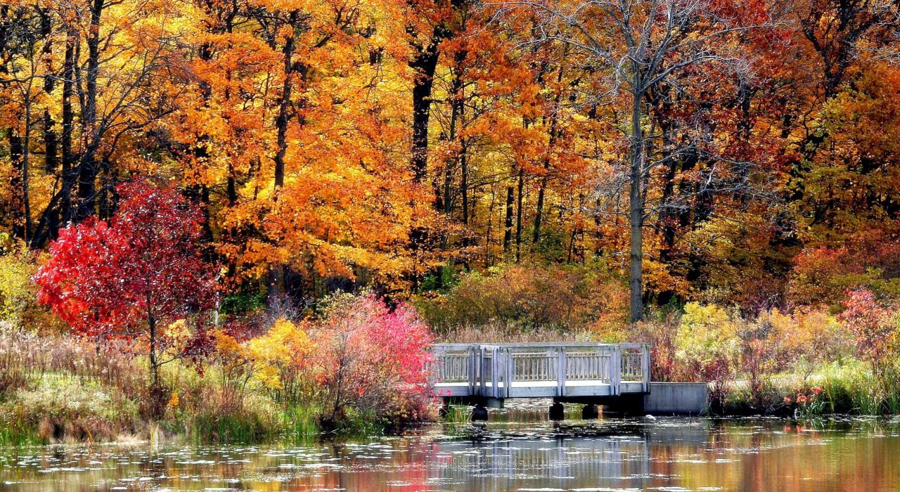 莱克县火焰般绚丽的秋色