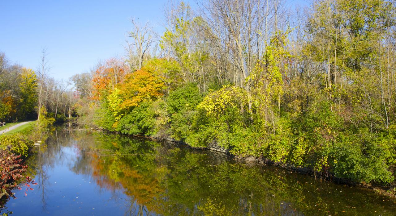 伊利运河沿岸一个阳光明媚的午后
