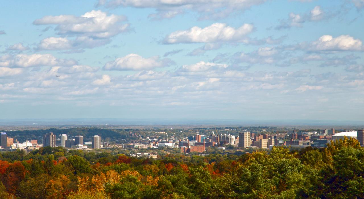 勾勒出城市天际线的秋叶和薄云