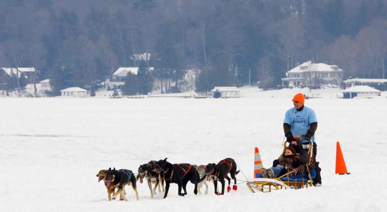 在乔治湖的冰面上乘坐狗拉雪橇