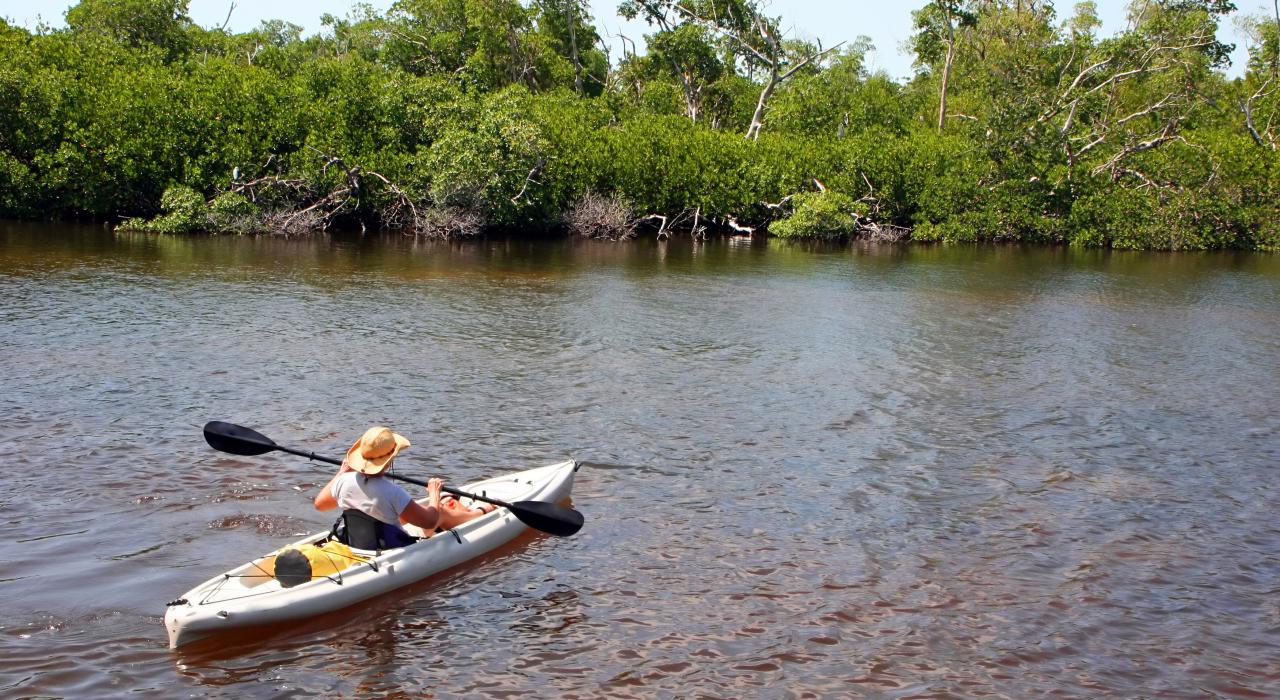 在 J.N.“丁”达林国家野生动物保护区体验皮划艇
