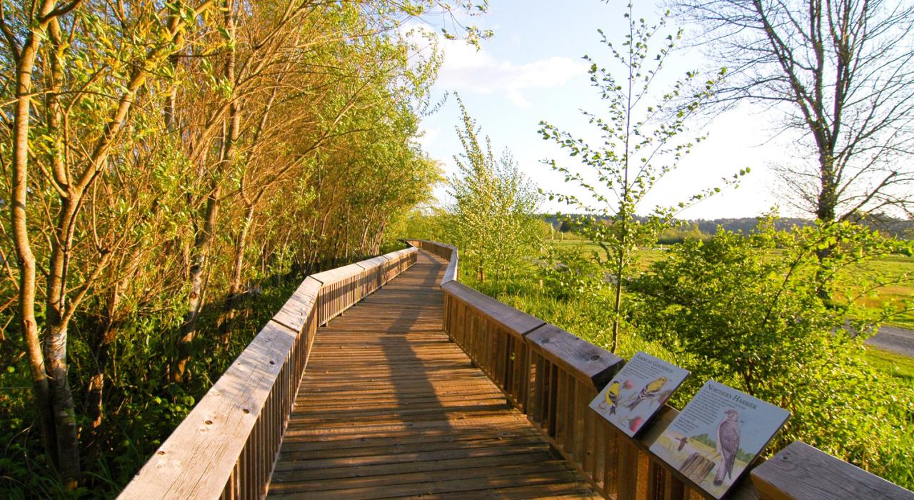 游客可以沿着木板道穿越尼斯夸利国家野生动物保护区