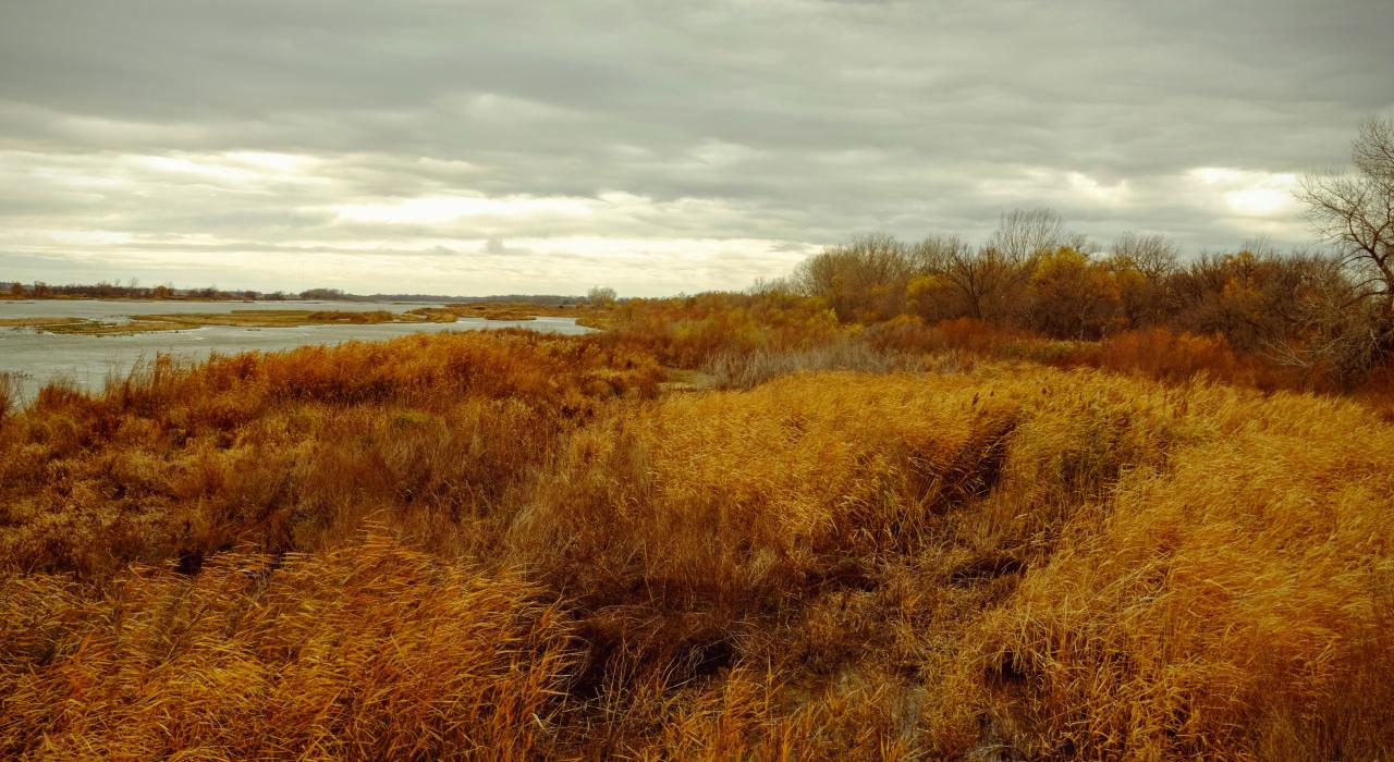 普拉特河沿岸的自然景观