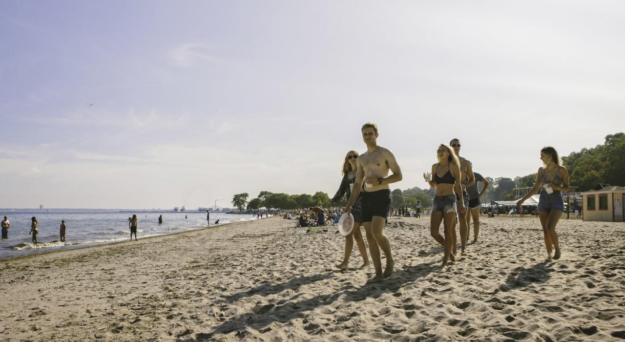 布拉德福海滩上的欢乐午后