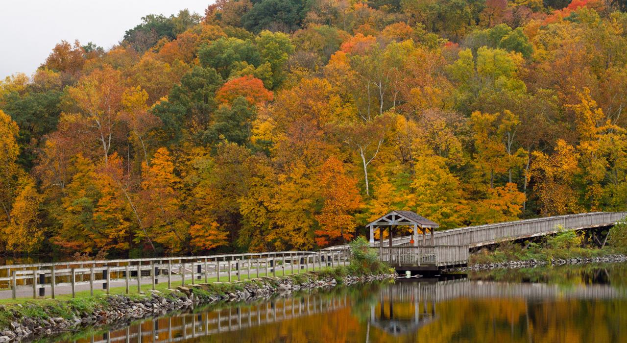 Cheat Lake Park 公园步道旁的秋叶美景