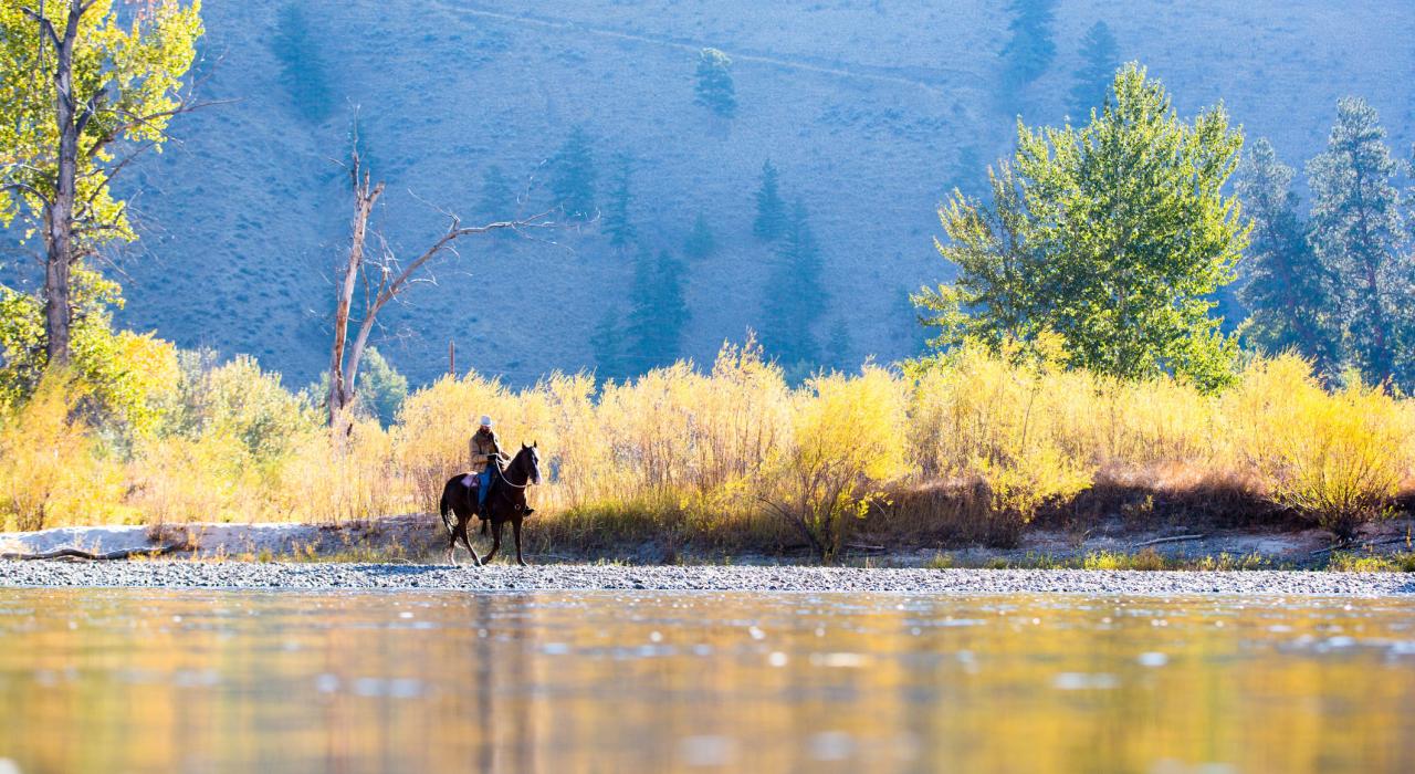 Cabalgata al amanecer junto a la ribera