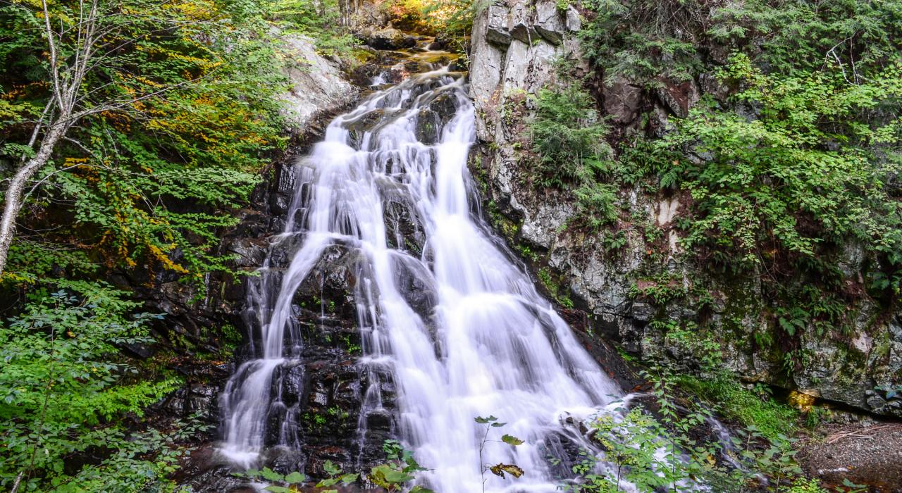 白山国家森林中的新娘面纱瀑布