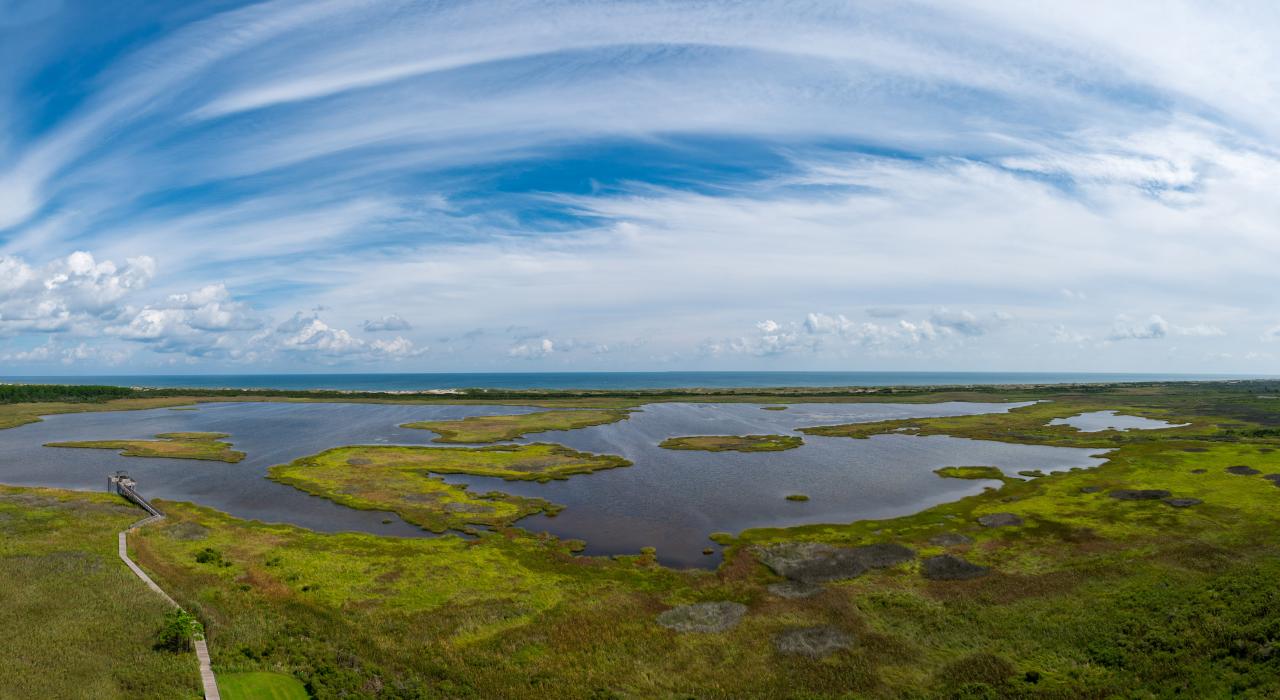 鸟瞰湿地生态系统