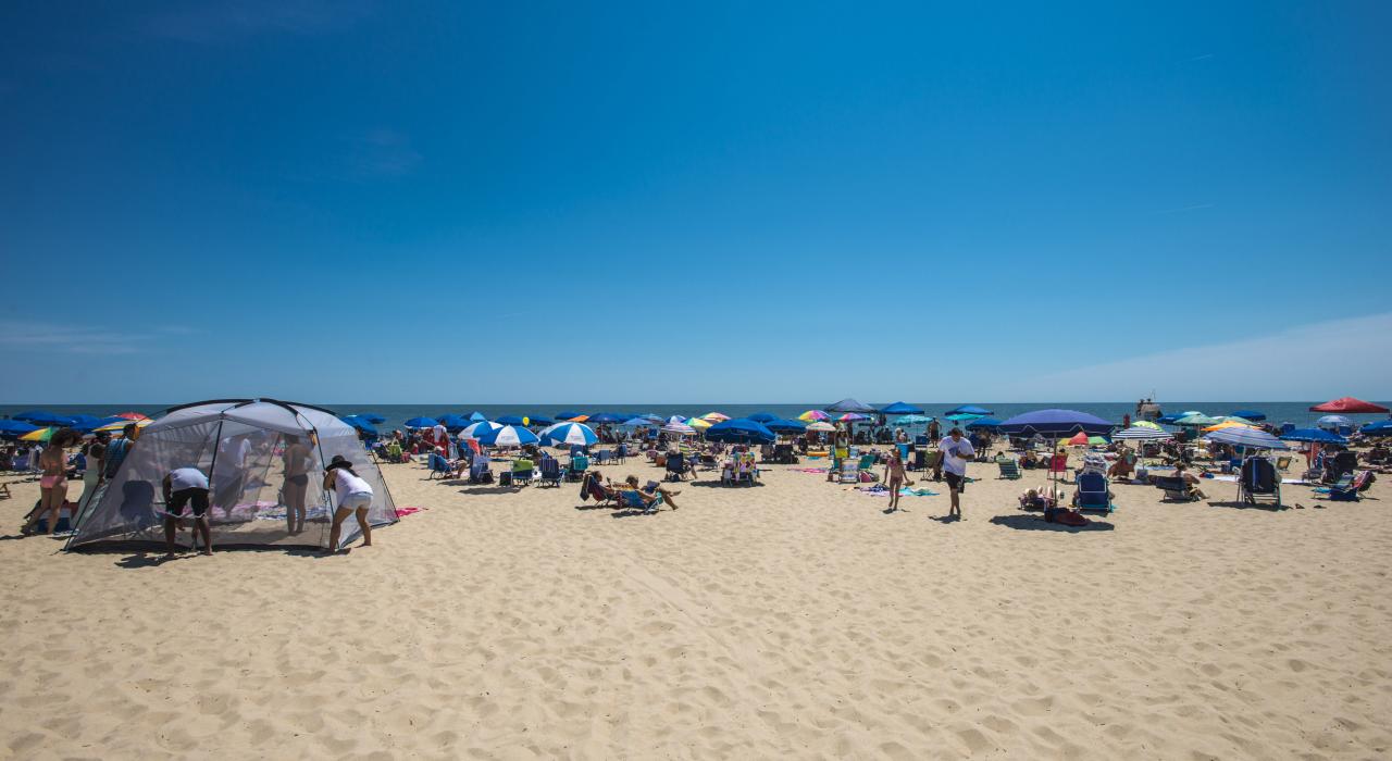 在沙滩上找个地方享受一天的日光浴和冲浪