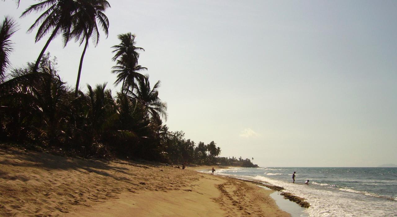 在海滩上享受明媚时光的海滩游客