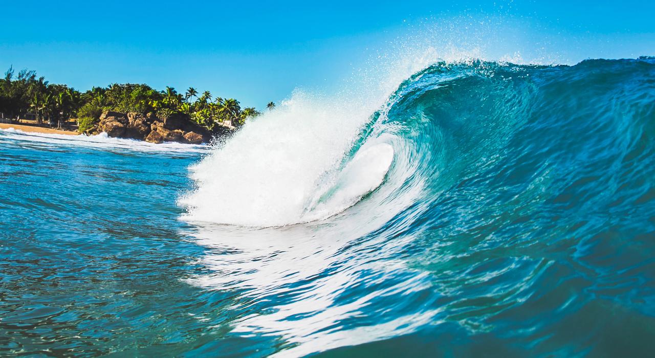 冲上海岸的浪头