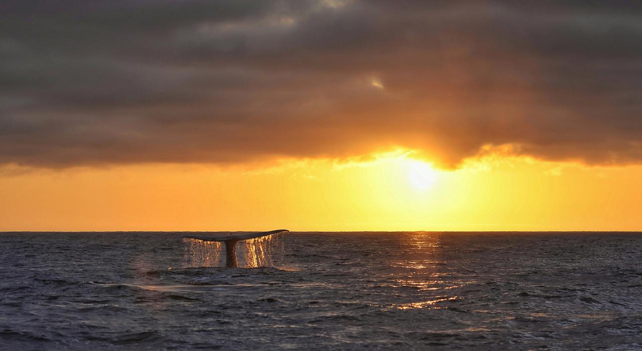 在岛屿南侧欣赏到的日落美景