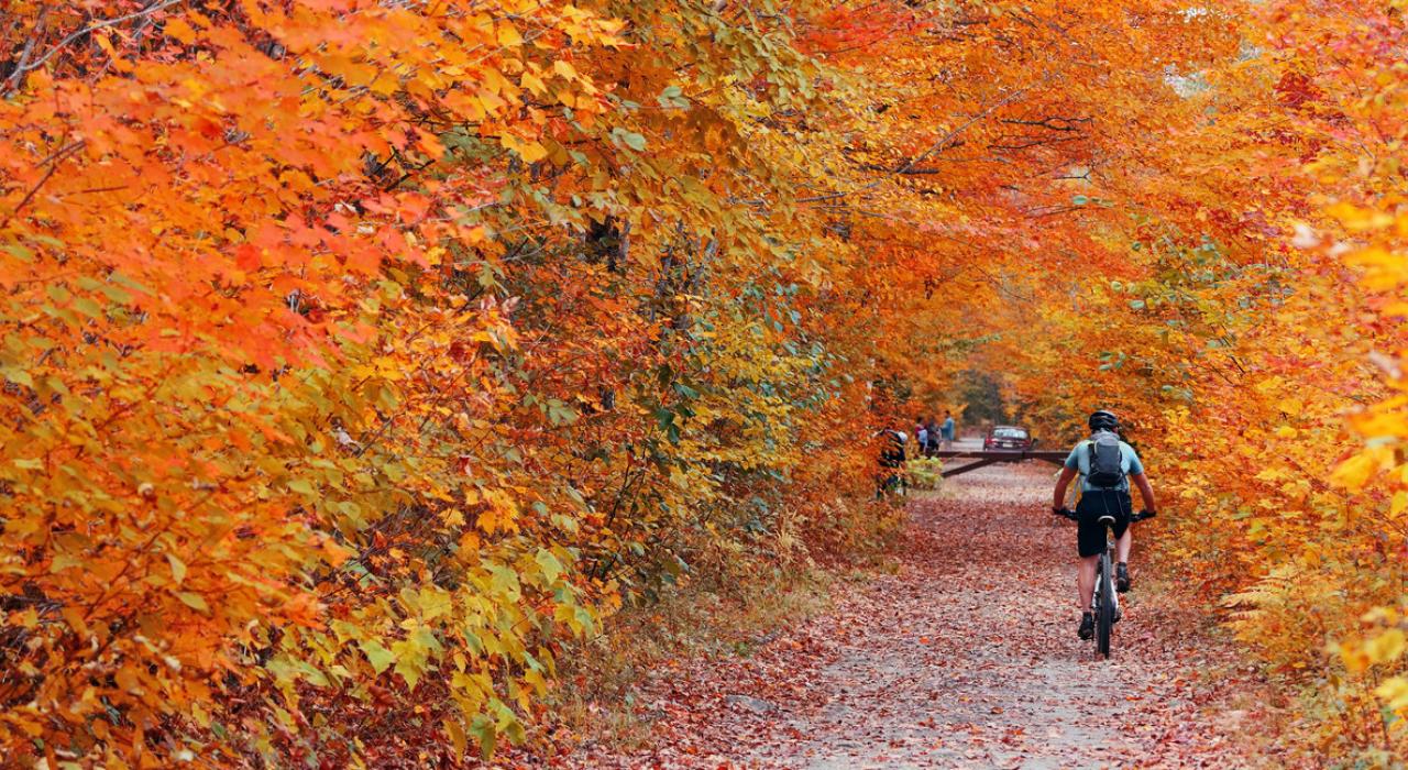 与美丽的秋景相伴，沿小径一路骑行