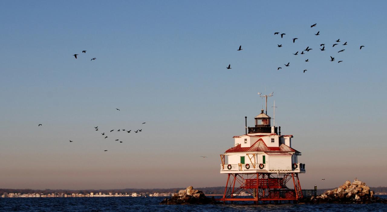 鸟儿在所罗门岛附近的 Drum Point Lighthouse 灯塔上空飞翔