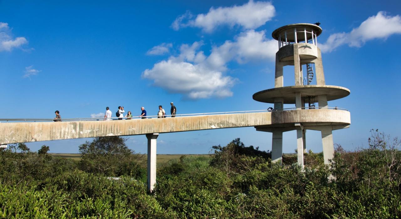 The observation tower on the Shark Valley Tram Tour in Everglades National Park, Florida