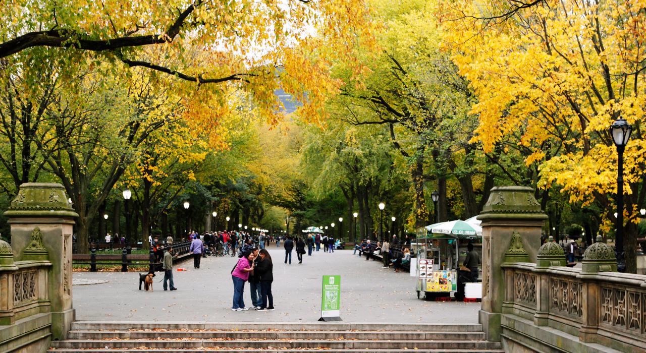 中央公园中心地区热门的聚会地点毕士大平台