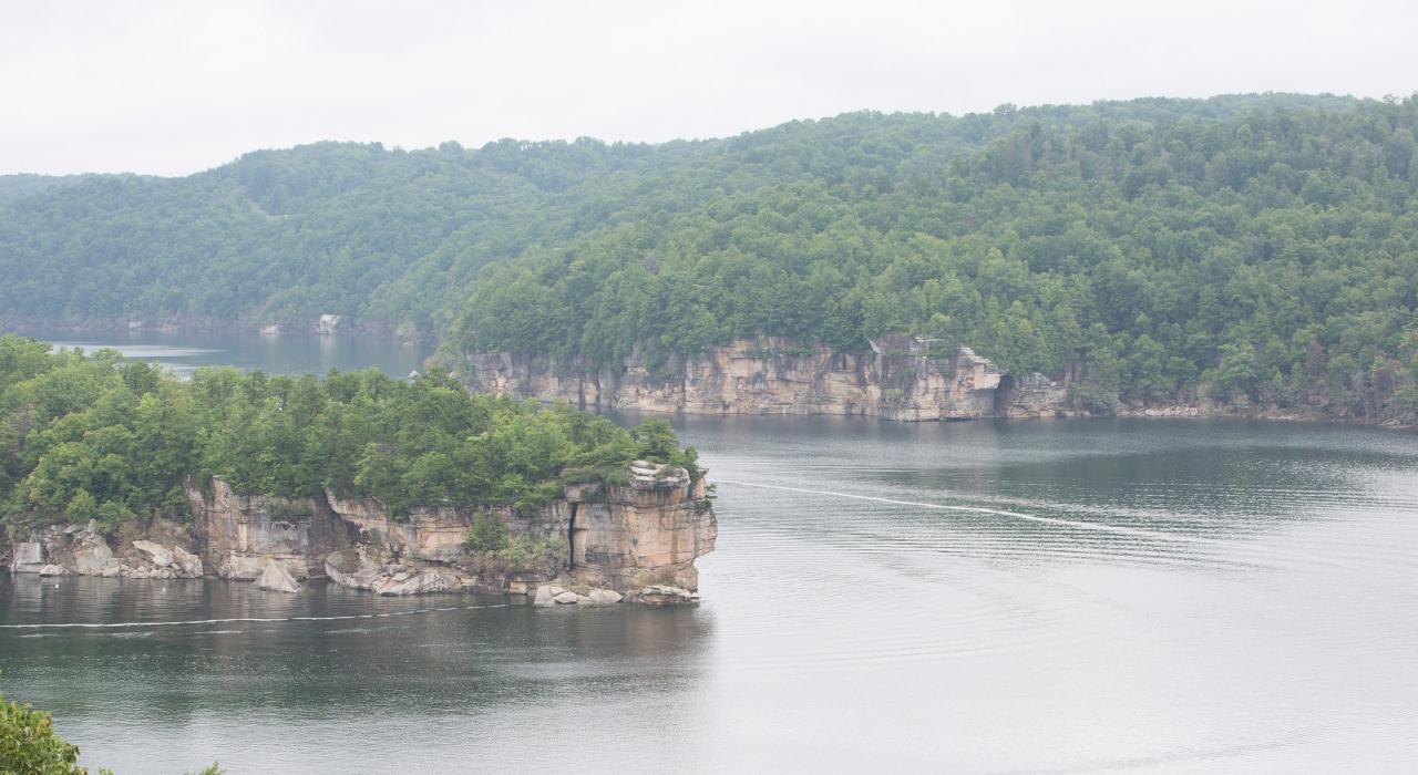 观赏西弗吉尼亚州萨默斯维尔湖周围草木丛生的悬崖峭壁