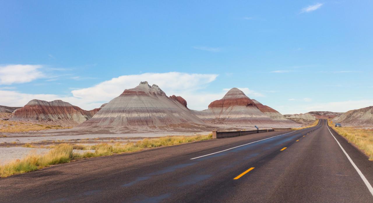 穿越亚利桑那州东北部的彩绘沙漠公园和石化林国家公园