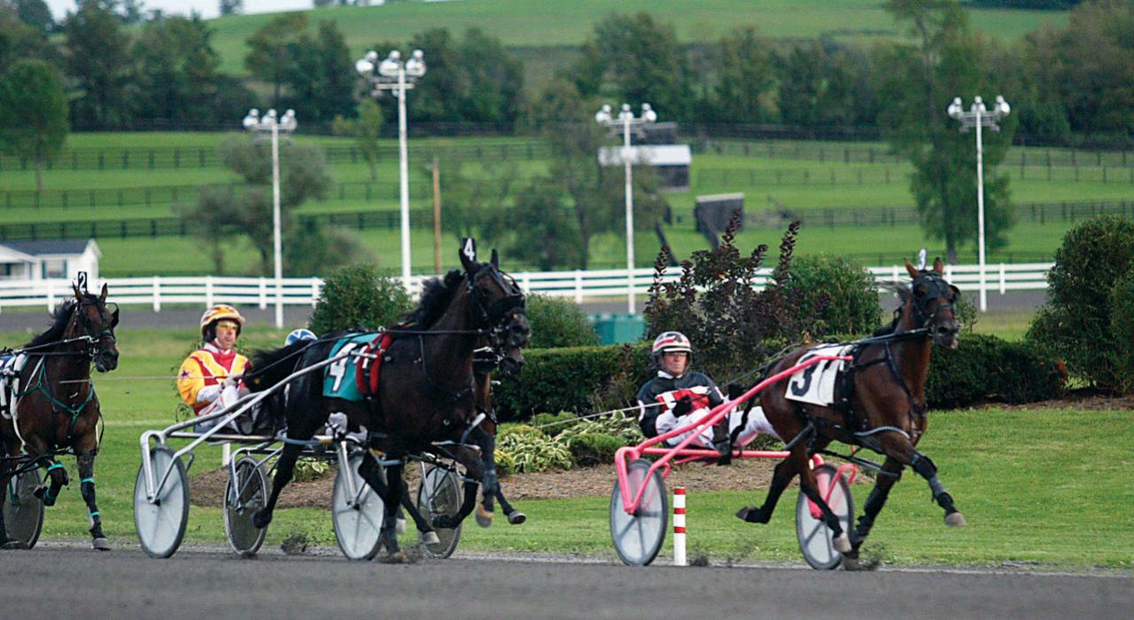 在弗农道恩赌场酒店举办奔驰的轻驾车赛马比赛