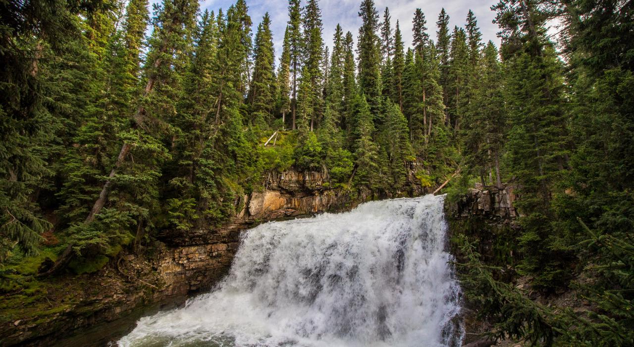 Ousel Falls 瀑布从郁郁葱葱的森林中穿流而过