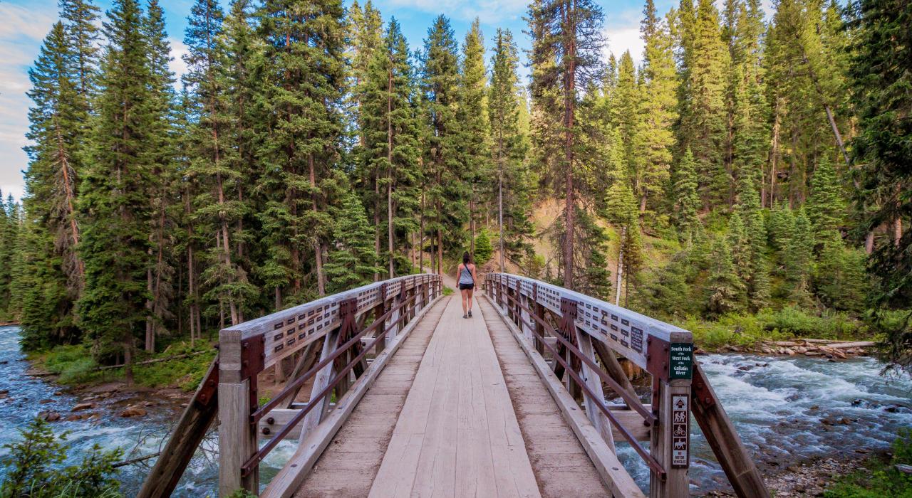 在卡斯特加拉廷国家森林的 Ousel 瀑布公园徒步小径