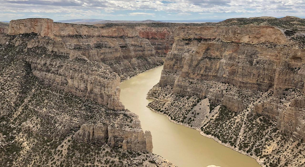 在怀俄明州洛弗尔镇附近俯瞰大角羊峡谷