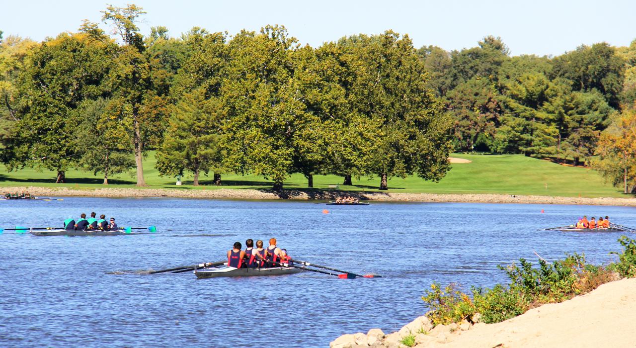 观看罗克河进行的罗克河划船比赛