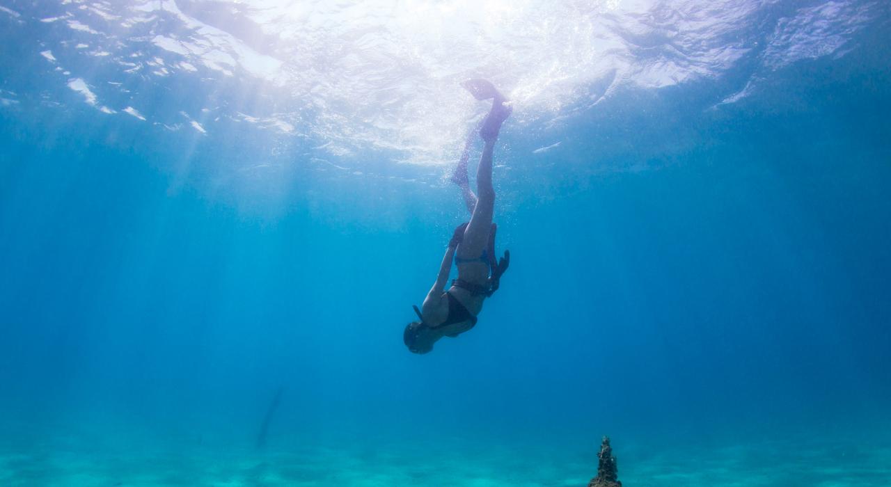 在大西洋深处体验沉船遗址潜水