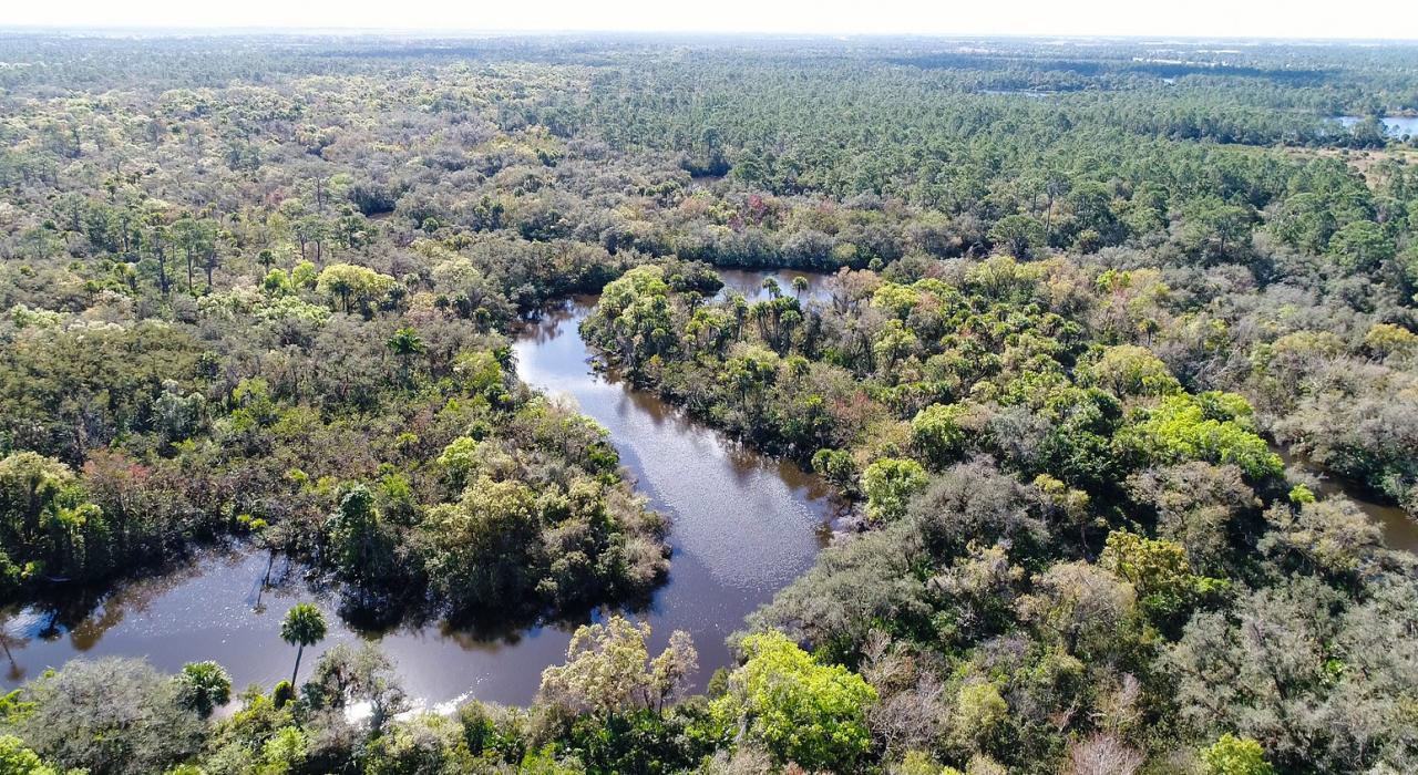 蜿蜒穿过乔纳森·迪肯逊州立公园的洛克瑟哈奇河