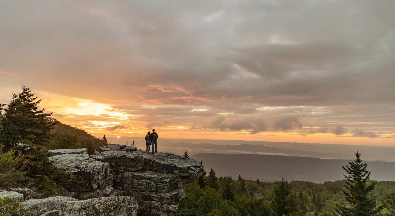 在莫农加希拉国家森林的多利草地荒野展开远足探险
