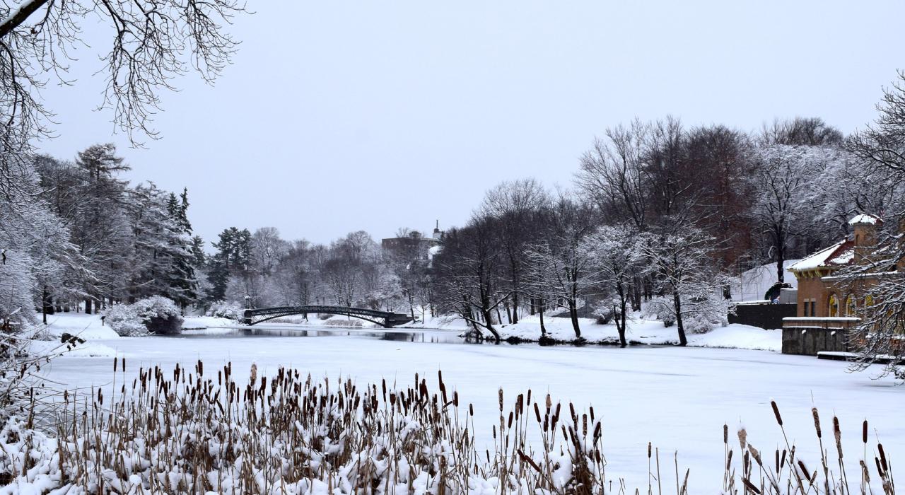 华盛顿公园白雪皑皑的宁静景致