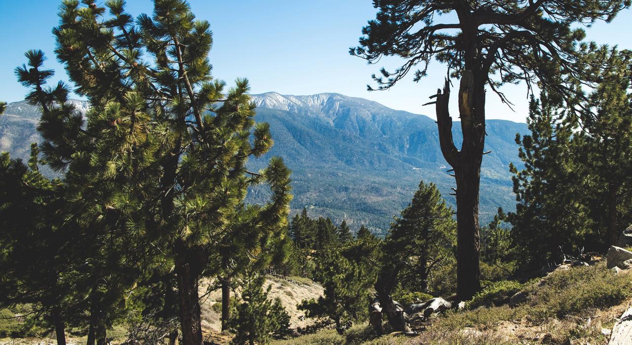 大熊谷徒步旅行时的壮丽背景