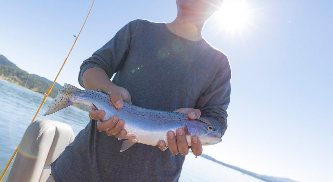 炫耀刚刚捕获的鳟鱼