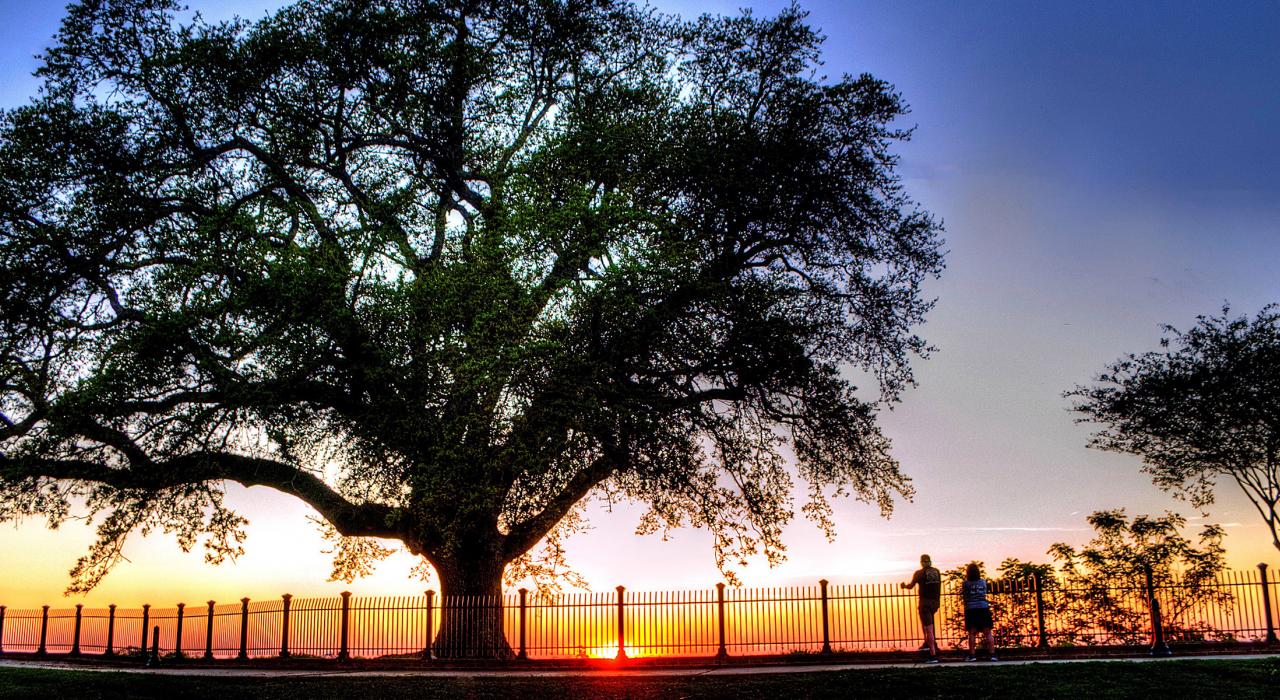 从密西西比州纳奇兹布拉夫公园欣赏到的密西西比河夕阳景色