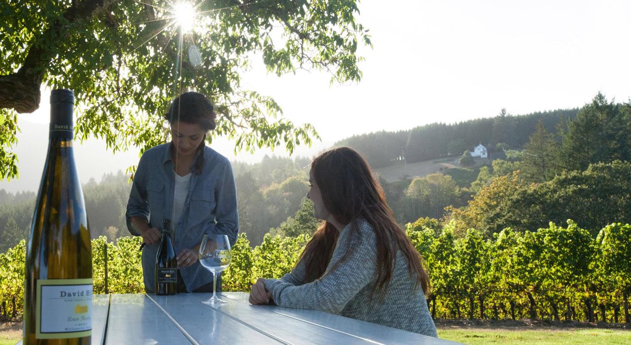 在戴维山葡萄园和酒庄的葡萄藤间享受悠然的午后时光