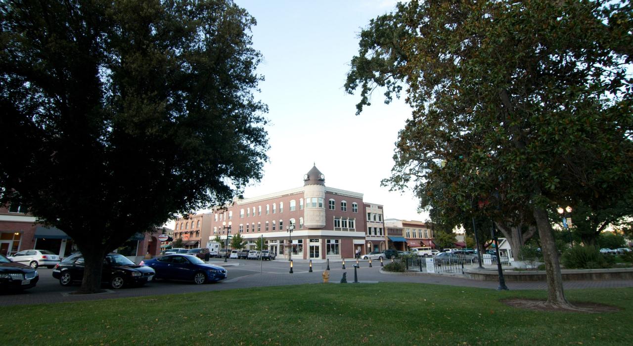 市区的 Acorn 大厦 (因其标志性橡树钟楼而得名)