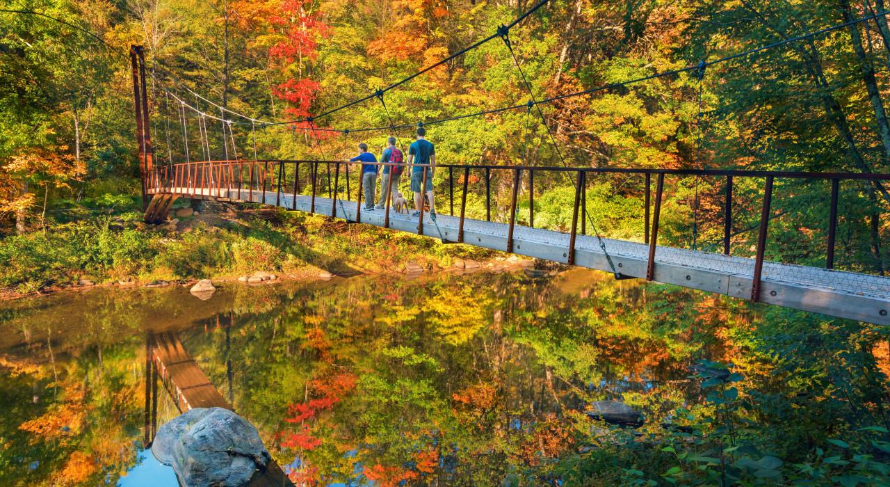 走过康涅狄格州隐谷保护区的索罗桥 走过康涅狄格州隐谷保护区的索罗桥