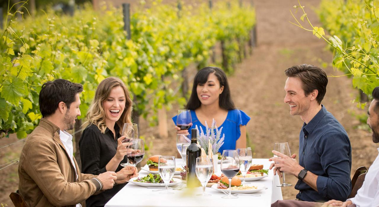 South Coast Winery Resort & Spa 度假村及水疗中心，在葡萄园里举行的葡萄酒晚宴