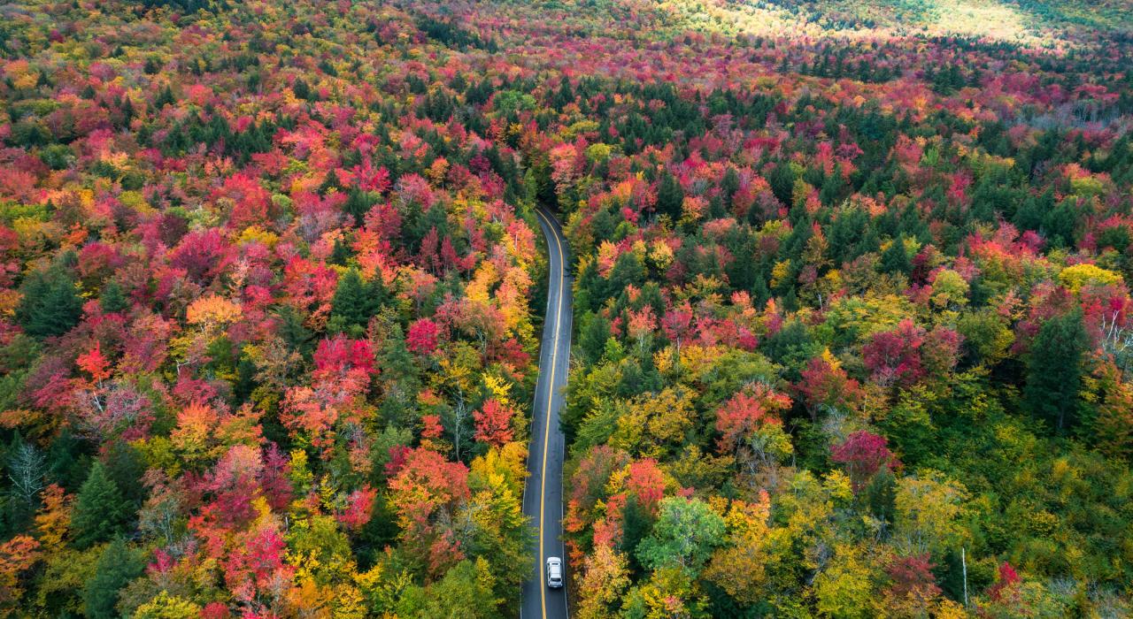 俯瞰新罕布什尔州白山的秋日美景