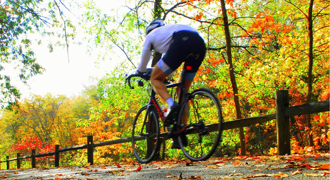 罗德岛州黑石河畔自行车道秋日骑行之旅 罗德岛州黑石河畔自行车道秋日骑行之旅