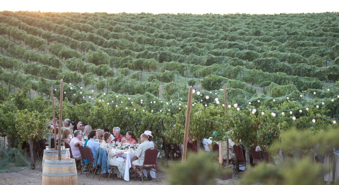 在埃伯尔酒庄的葡萄树中共进晚餐