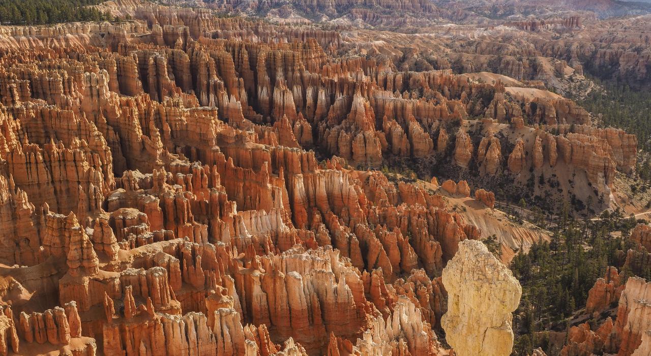 在犹他州布莱斯峡谷国家公园内俯瞰奇形岩美景