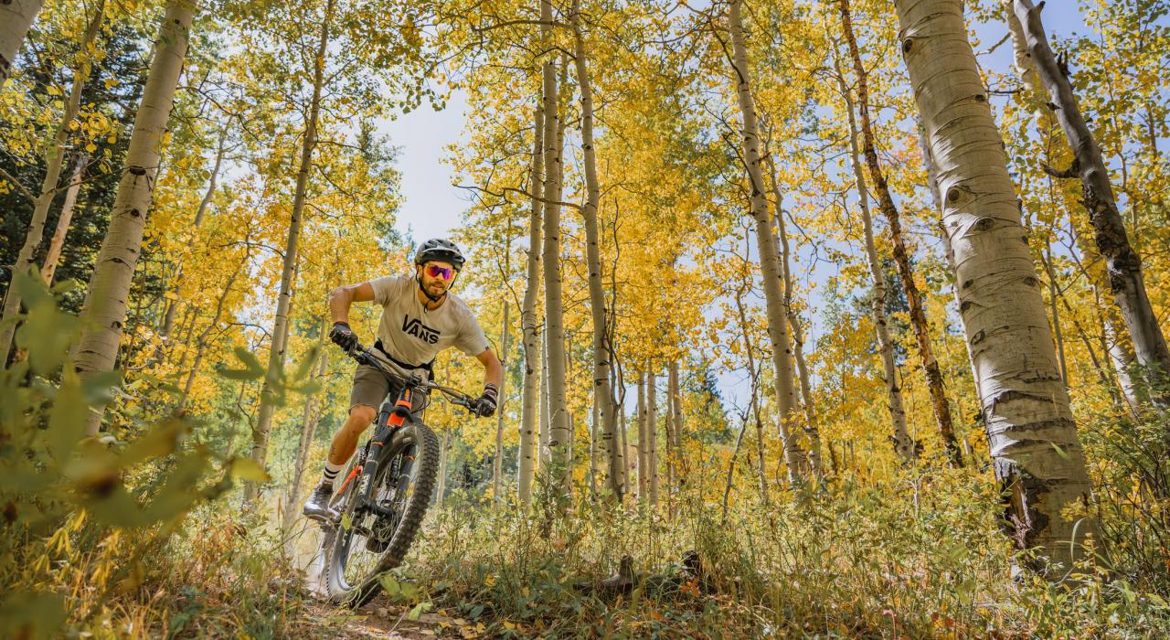 在斯诺马斯的汤姆布雷克步道 (Tom Blake Trail) 上进行山地骑行