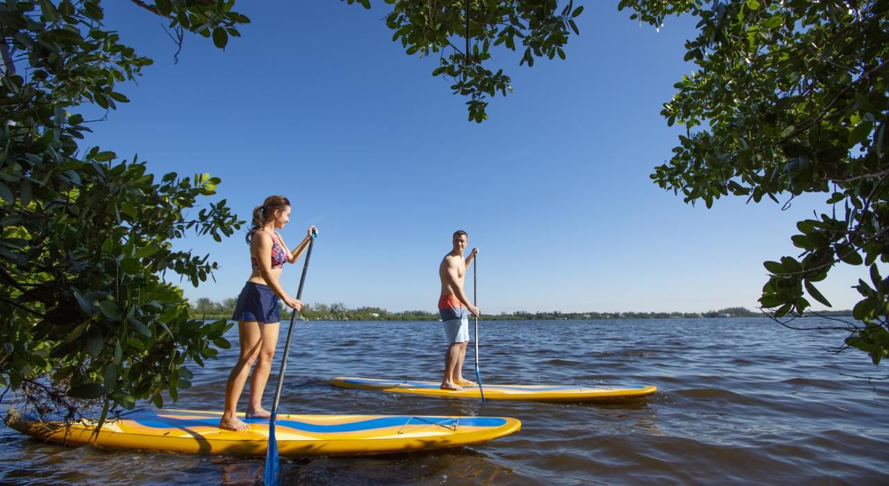 在鲁滨逊保护区进行立式单浆冲浪探险