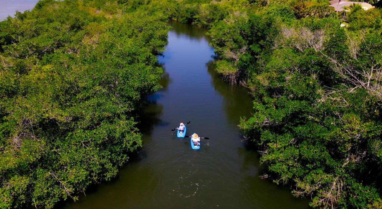 沿着可可海滩两岸植满红树林的水道划皮艇